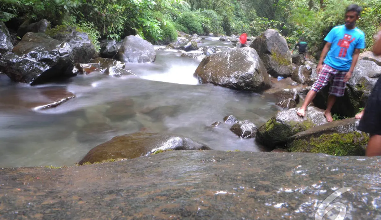 Aliran Curug Sawer berasal anak sungai di kaki Gunung Gede dan Gunung Gemuruh, yang kemudian mengalir ke Sungai Cigunung. (Liputan6.com/Herman Zakharia)