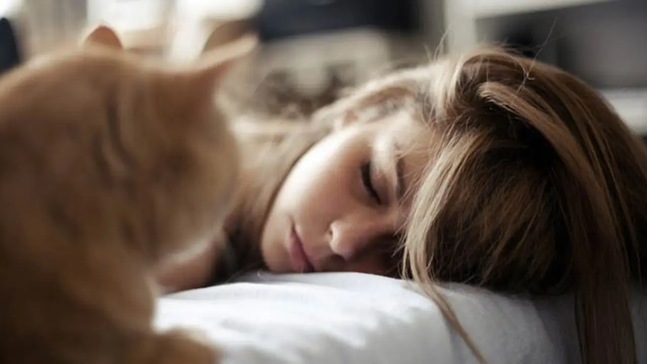 tidur-kucing-140103-b.jpg