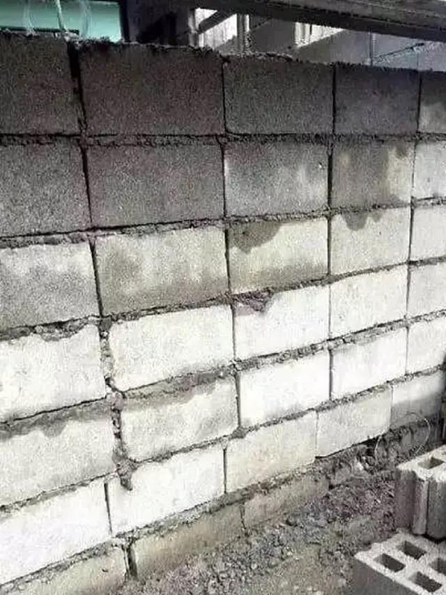 8 Momen Lucu Orang Tertangkap Bikin Kesalahan Ini Kocak Banget