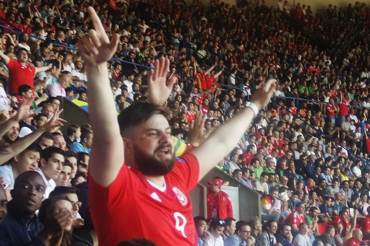 Suporter Wales