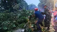 Pengendara Motor Tertimpa Pohon Tumbang di Bogor