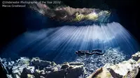 Hasil Jepretan Memukau Fotografi Bawah Air Terbaik 2019 (sumber: underwaterphotographeroftheyear)
