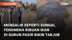 Fenomena alam ribuan ikan mengalir di gurun pasir mengundang perhatian