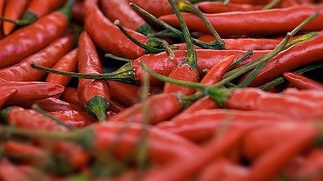Ilustrasi cabe rawit