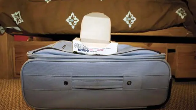 10 Tips Cerdas untuk Para Traveler