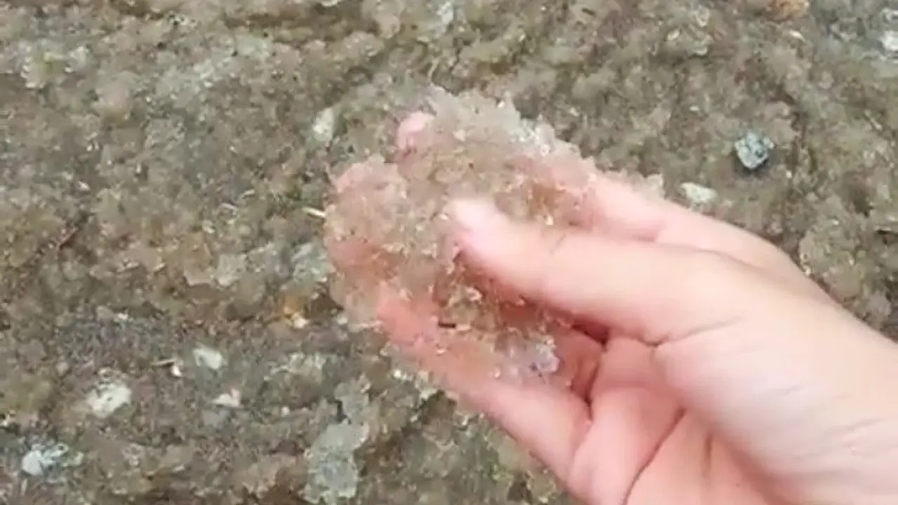 Warga memegang butiran hujan es yang turun di Desa Pulau Muda, Pelalawan, Riau.
