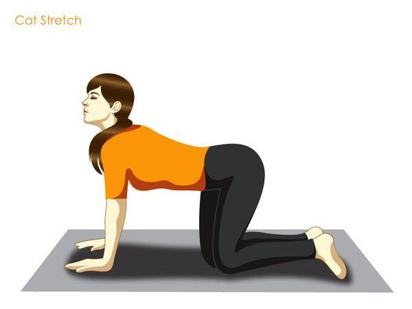 Copyright by healthmeup.com