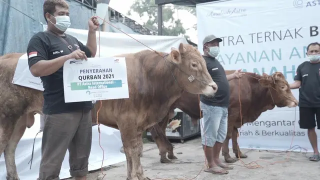 Sambut Idul Adha 1442 Hijriyah, Grup Astra Serahkan 2.379 Hewan Kurban Ke 34 Provinsi 