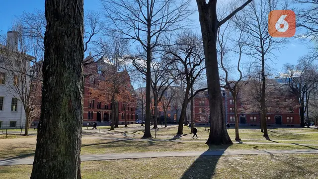 Harvard University (Universitas Harvard) di Massachusetts, AS. (Liputan6.com/Tanti Yulianingsih)