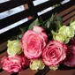 Bunga Mawar Untuk Hari Valentine (Sumber: Pixabay)