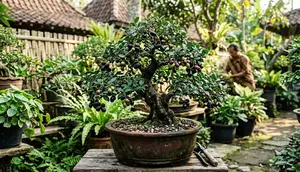 8 Cara Mengerdilkan Pohon Jamblang atau Duwet agar Berbuah di Pot, Trik Berkebun Meski Lahan Sempit