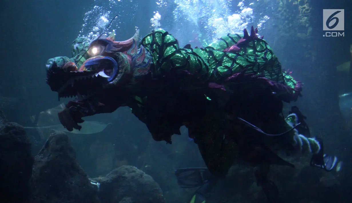 Barongsai berenang dalam air saat pertunjukan bertajuk The Battle of Yin Yang di Aquarium Utama Seaworld Ancol, Jakarta, Senin (12/2). Atraksi akan berlangsung setiap pukul 13.45 WIB. (Liputan6.com/Arya Manggala)