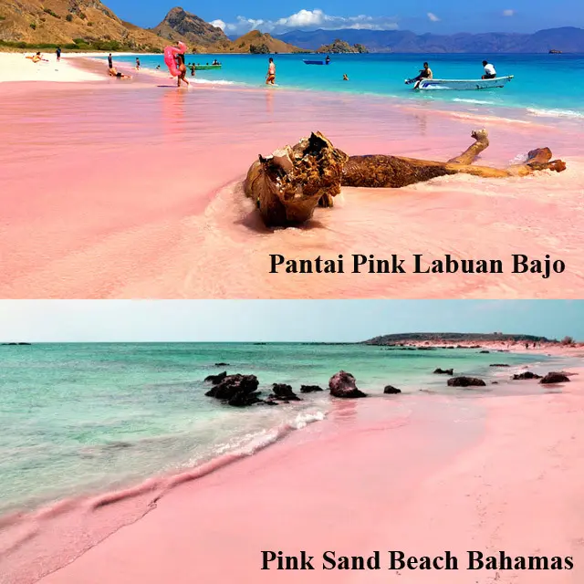 Pantai Pink