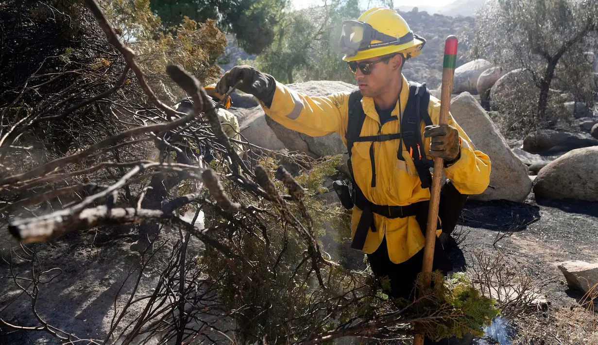 Frankie Aguirre, petugas Dinas Pemadam Kebakaran Hutan dari San Diego County membersihkan semak-semak di lokasi kebakaran Dataran Tinggi di Aguanga, California, pada Selasa, 31 Oktober 2023. (AP Photo/Marcio Jose Sanchez)