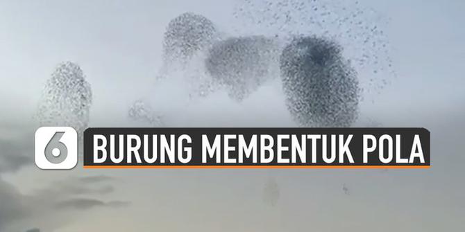 VIDEO: Menakjubkan, Kawanan Burung-Burung Membentuk Pola di Langit