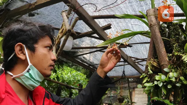 Seorang wisatawan di desa karunia