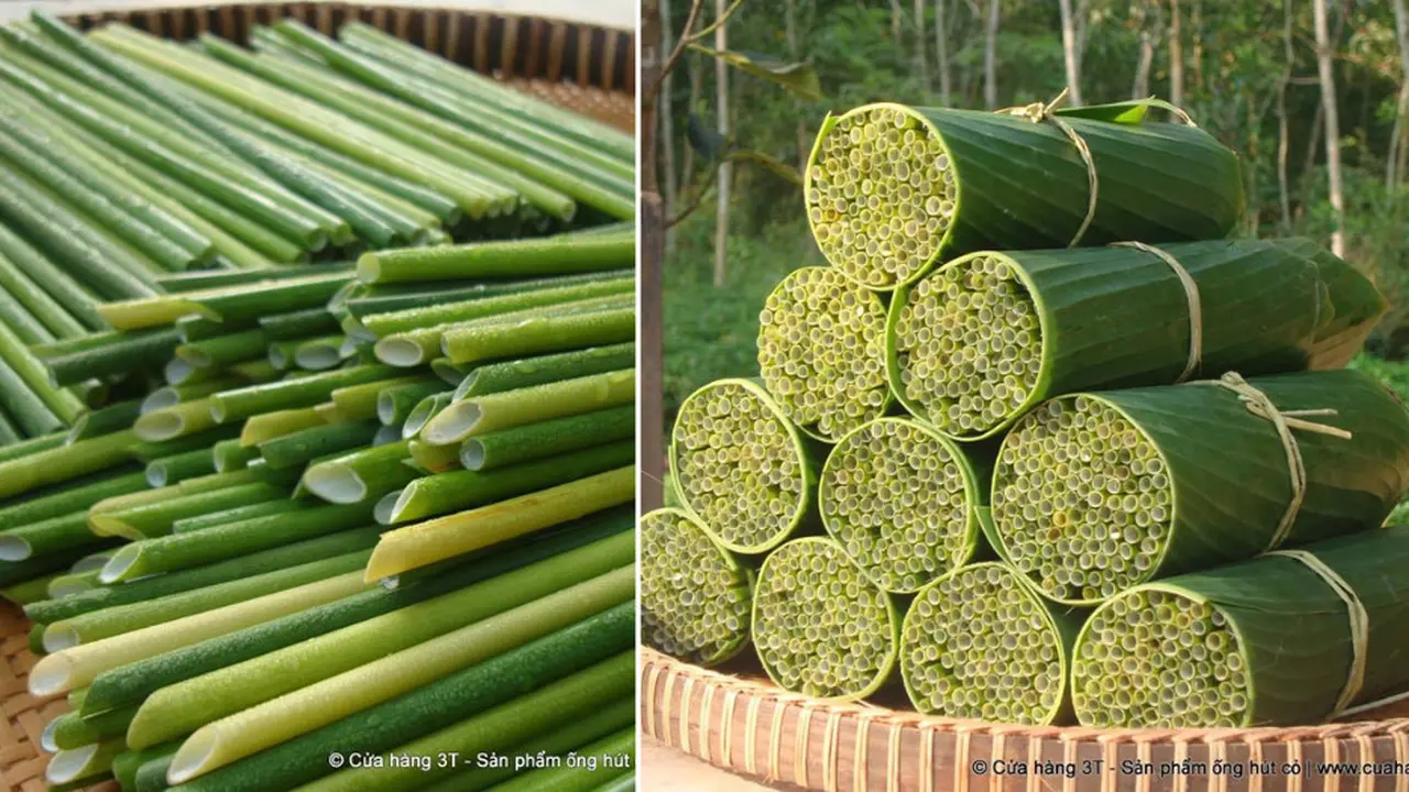 Sedotan dari rumput liar