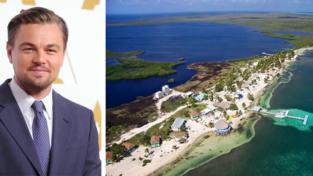 [Bintang] Leonardo DiCaprio