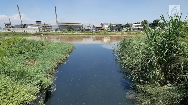 Kontras Wajah Sungai Citarum dan Citarum Lama