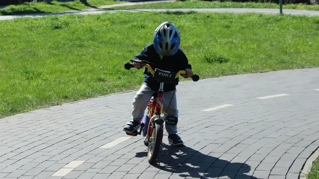 Ilustrasi Anak Bersepeda (Sumber: _Alicja_/pixabay.com)