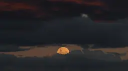 Fenomena strawberry moon atau Bulan Stroberi terakhir kali muncul pada 2006 dan akan datang kembali pada tahun 2043. Tampak dalam foto, bulan purnama yang dikenal sebagai 'Bulan Stroberi' muncul di atas Pantai Bondi di Sydney, Australia pada 11 Juni 2025. (SAEED KHAN/AFP)