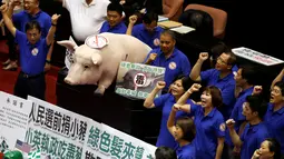 Sebuah boneka babi ditempatkan di ruang legislatif untuk menentang kebijakan impor daging babi di Taipei , Taiwan 31 Mei 2016. Aksi ini dalam menentang impor daging babi dari Amerika.  (REUTERS / Tyrone Siu)