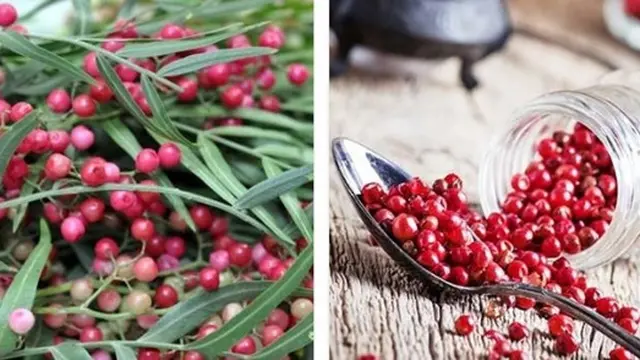 7 Bumbu Dapur Termahal, Ada yang Seharga Rp 84 Juta per Kilogram