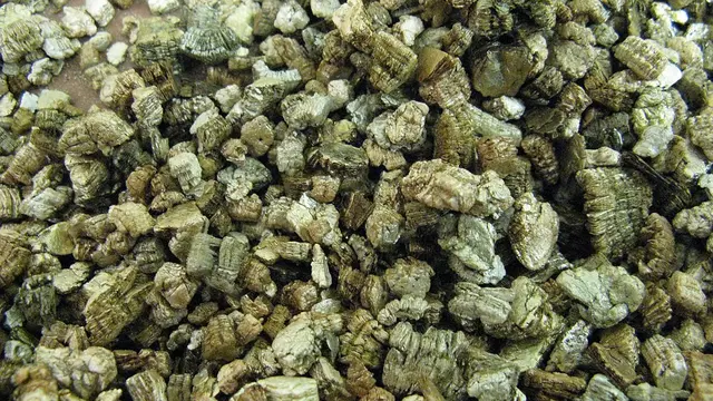 Vermiculite Wikimedia