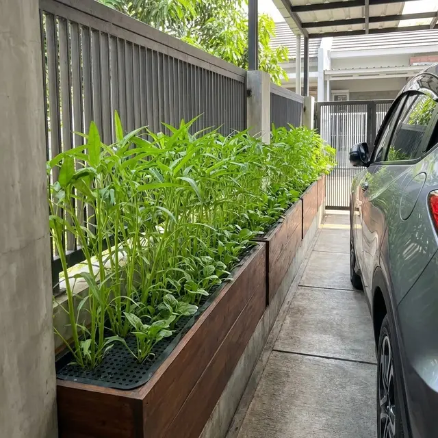 Kebun Sayur Box Planter Kayu