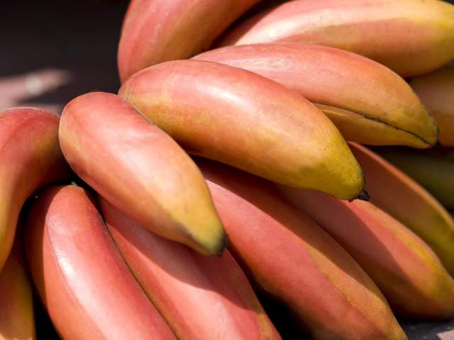 10 Manfaat Pisang Merah Untuk Kesehatan Lebih Tinggi Antioksidan Hot Liputan6 