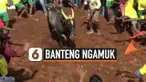 BANTENG NGAMUK