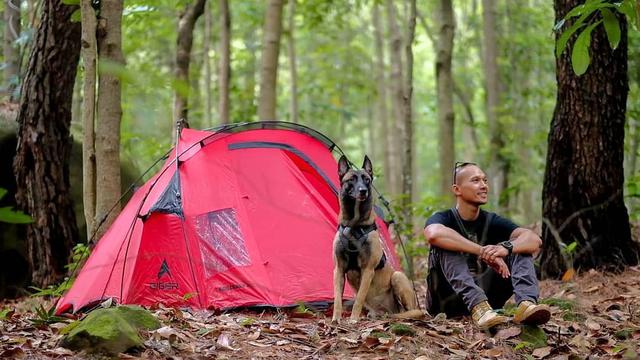 7 Potret Sparta, Anjing Bima Aryo yang Gigit ART