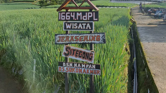 Berkunjung ke Terasering Sitegong Sukomakmur, Surga Tersembunyi di Kaki Gunung Sumbing Magelang