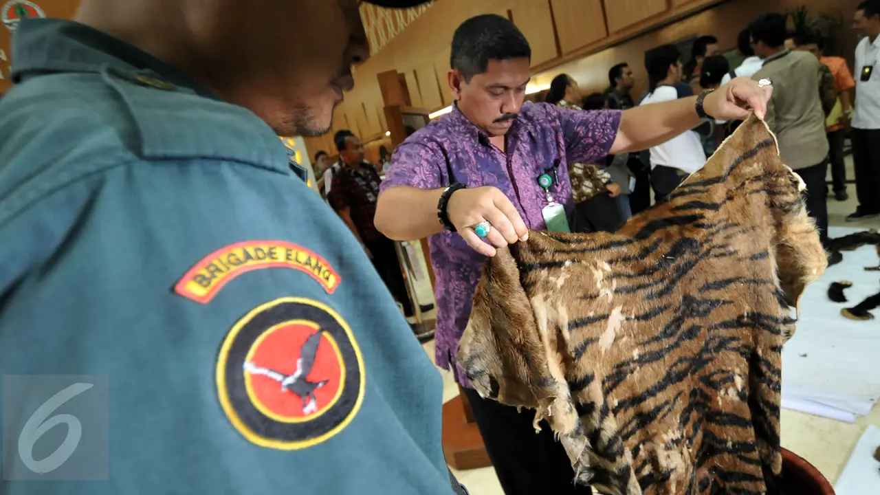 20160115-Pemerintah Sita Puluhan Bagian Tubuh Satwa Dilindungi-Jakarta
