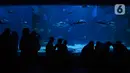 Pengunjung melihat ikan-ikan dalam Jakarta Aquarium dan Safari, Sabtu (19/12/2020). Jakarta Aquarium dan Safari menghias pohon Natal dari bahan daur ulang mulai 20-27 Desember 2020 untuk memperingati perayaan Natal. (merdeka.com/Imam Buhori)