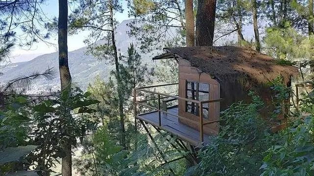 Omah kayu, Batu