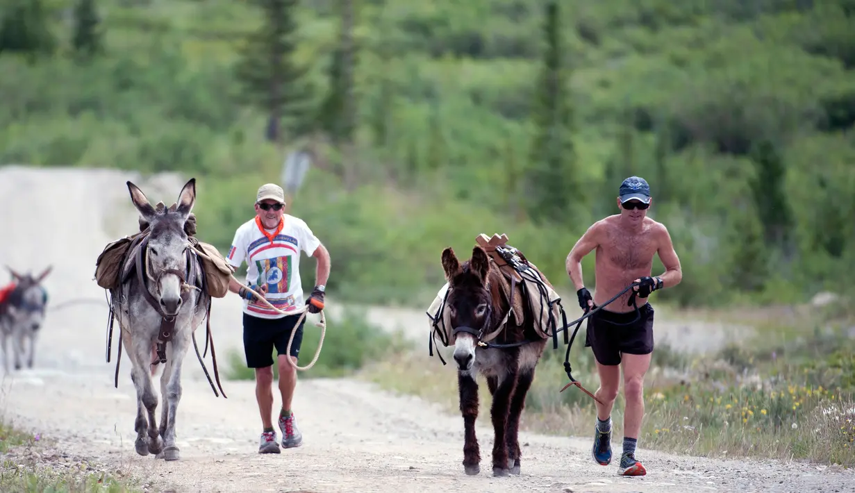 Peserta bersaing untuk jadi yang pertama saat mengikuti Pack Burro Race ke-69 di Fairplay, Colorado (30/7). Pada tahun 2012 Pack Burro Racing diakui sebagai olahraga warisan resmi musim panas di Colorado. (AFP Photo/Jason Connolly)