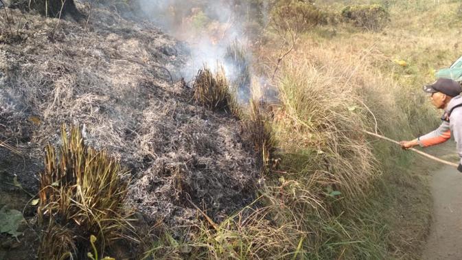 Tim gabungan pemadam kebakaran Gunung Semeru berupaya memadamkam kobaran api dengan ranting pohon (BB TNBTS)