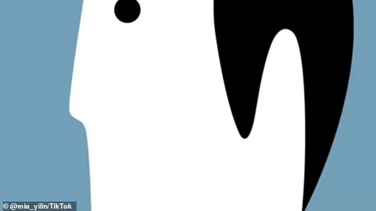 Tes kepribadian yang menunjukkan gambar seorang pria dan seekor penguin. (TikTok/mia.yilin)