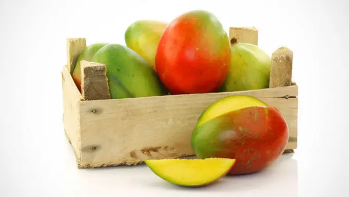 Courtesy ShutterStock.com