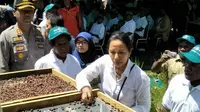 Menteri Badan Usaha Milik Negara (BUMN) Rini Soemarno ingin agar kopi asal Papua bisa mendunia.