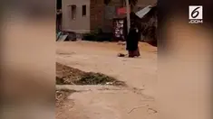 Seorang wanita mengalami gangguan jiwa dibebaskan oleh pemerintah di India. Pasalnya wanita tersebut dirantai selama 2 tahun pada sebuah kayu.