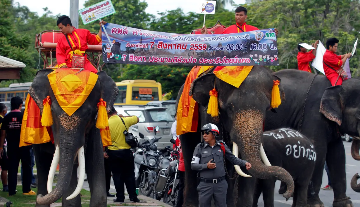 Sejumlah pria menunggangi gajah berkeliling untuk mengingatkan warga agar berpatisipasi dalam referendum pada 7 Agustus mendatang, Thailand, Senin (1/8). (REUTERS / Chaiwat Subprasom)