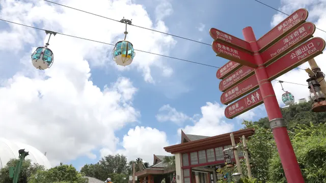 FOTO: Hore, Ocean Park Hong Kong Kembali Dibuka