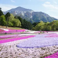 Begini pesona tempat-tempat paling berwarna di Bumi.