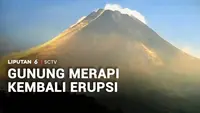 Merapi Erupsi 11 Kali dalam 24 Jam, Awan Panas Meluncur 2 Km