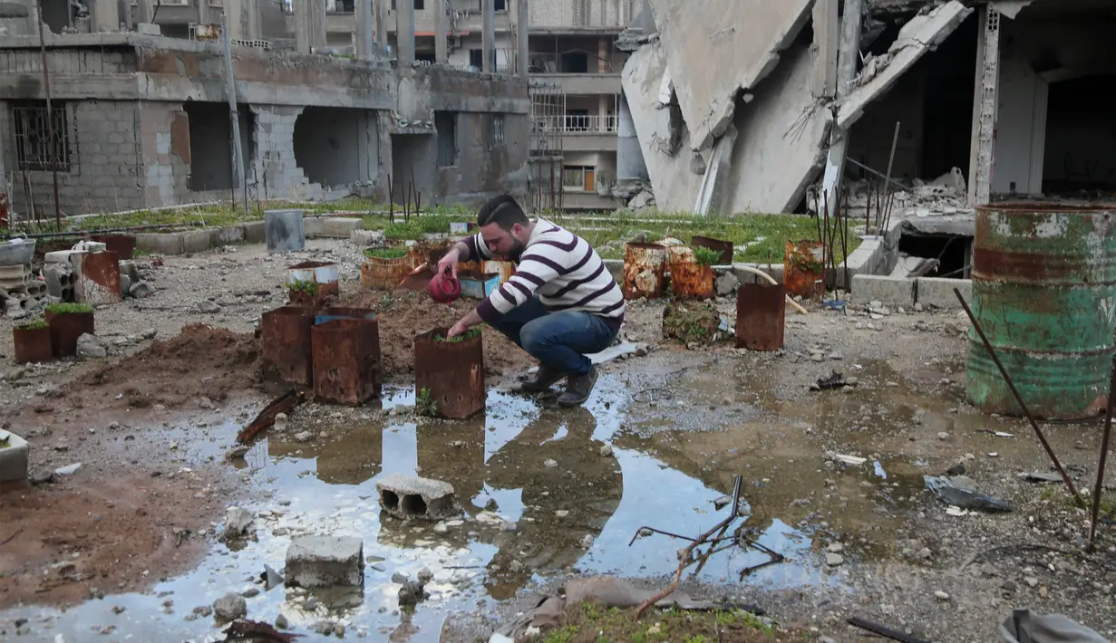 Mohamed Ataya menyiram tanaman yang ditanam disebuah kaleng bekas di atap bangunan yang rusak di wilayah Ghouta timur di ibukota Damaskus, Suriah (3/3). Sebelumnya, Abu Maher adalah seorang pemain sepak bola profesional. (AFP/Amer Almohibany)
