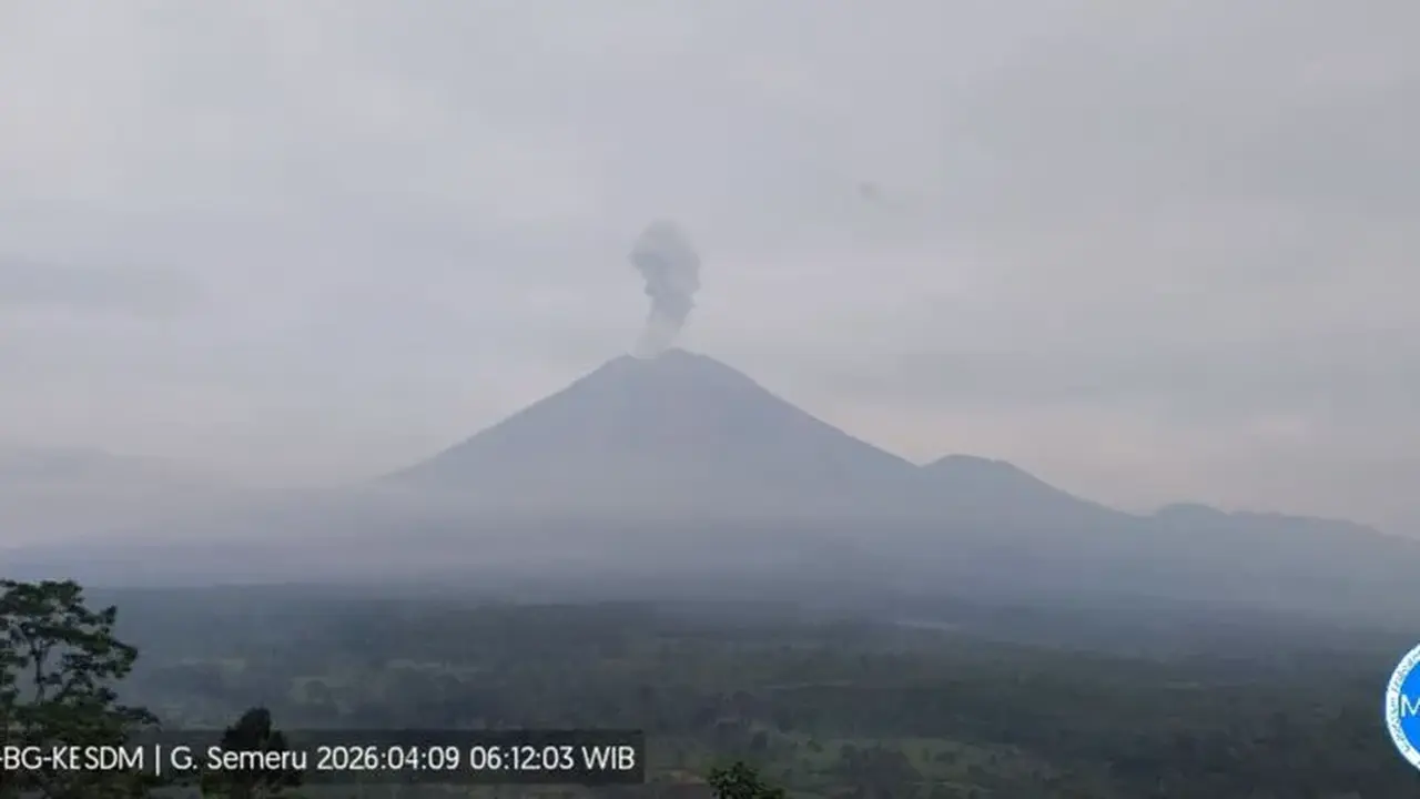 Gunung Semeru erupsi. (Istimewa)