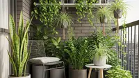8 Tanaman Hias yang Low Maintenance untuk Rumah Hijau Tanpa Ribet