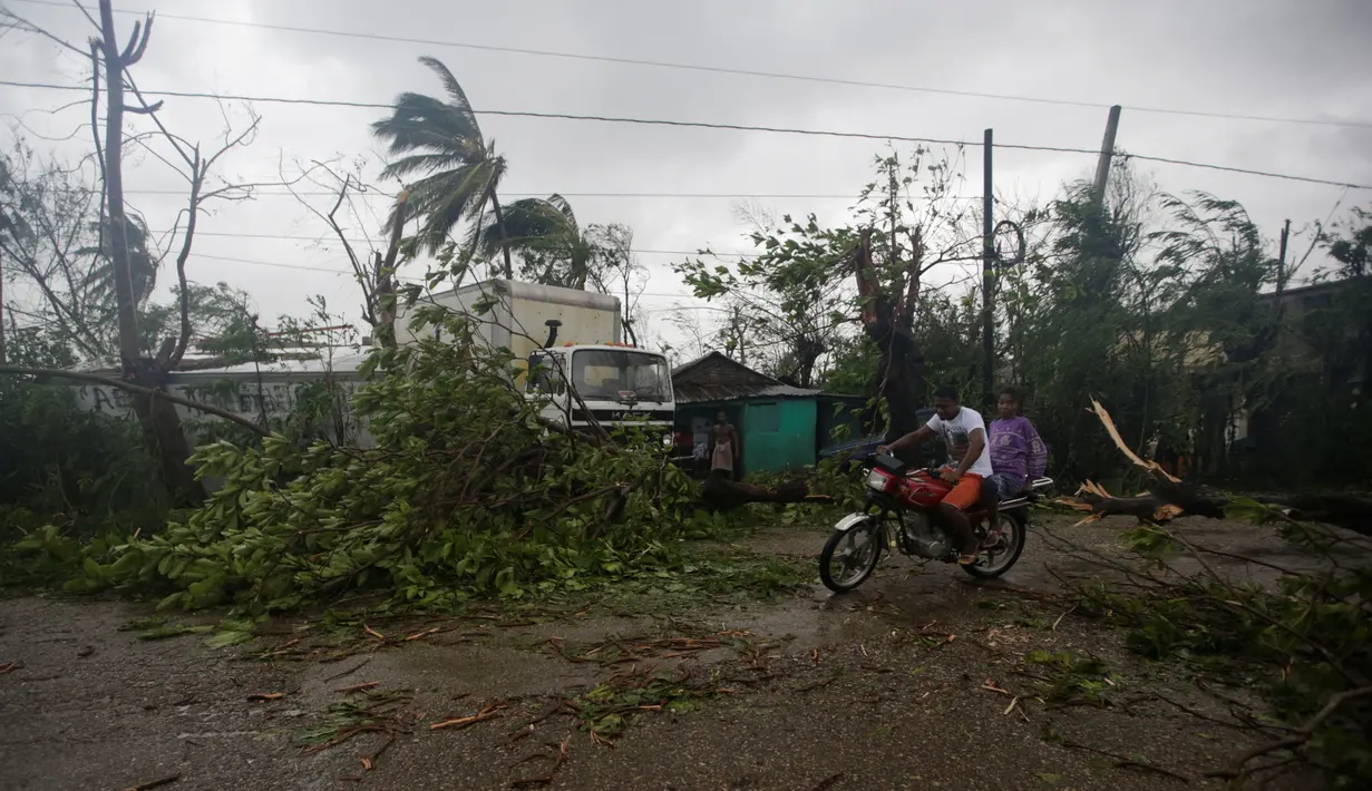 Pengendara melintas di dekat pohon yang tumbang setelah Badai Matthew menghantam wilayah Les Cayes di Haiti (4/10). Badai Matthew ini telah mengakibatkan banjir, banyak pohon tumbang dan ratusan rumah warga rusak parah. (REUTERS/Andres Martinez Casares)